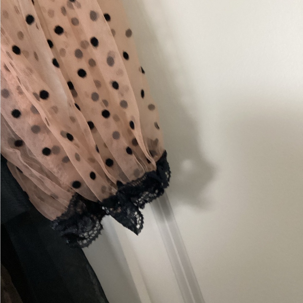 Chic Black and Tan Lace Long Sleeve Dress - Picture 7 of 9